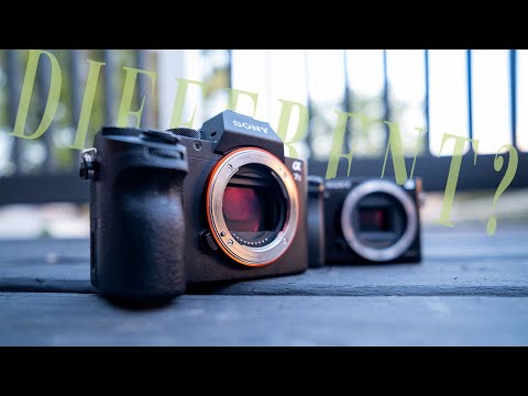 Sony A7 II VS A6000: Does full frame matter?