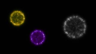 Photons, Gravitons & Weak Bosons | Standard Model Of Particle Physics
