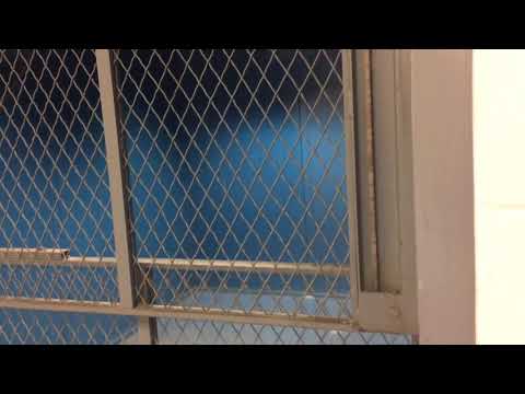 Freight Elevator at Augusta University Field House