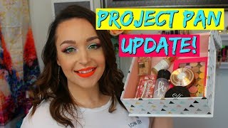 PROJECT PAN UPDATE! 2019 Rolling Project Pan