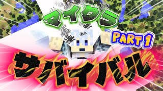 【マイクラサバイバル】Part1　家が欲しい…