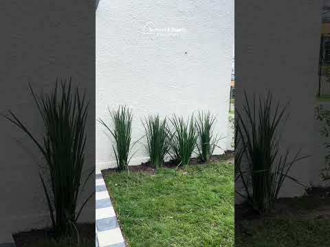 Video de YouTube - Casa en Venta de 3 dormitorios con  Parrillero en Carrasco Norte, Montevideo
