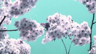 Beck - Heaven's Ladder