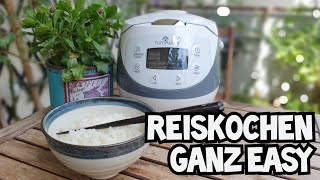 Yum Asia Reiskocher "Panda" im Test | Wird Reis wirklich besser?