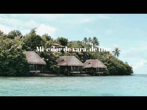 Amna feat. Qupra - Arde versuri