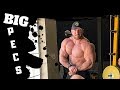 Chest workout at Gold's in Calgary!