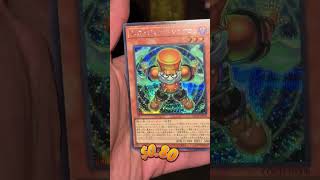Pain or Gain E76 YuGiOh Limit Over Collection The Heroes #yugiohtiktok #yugiohcommunity #yugioh