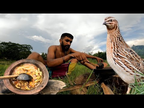 quail hunting and cooking | වටුකුරැළු දඩයම | Veddaa