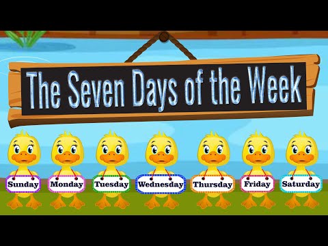 The Seven Days of the Week with the Seven Ducklings | Quack, Quack, Quack