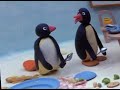 Pingu S01 E14