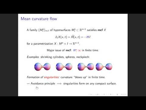 Theodora Bourni: Ancient solutions to mean curvature flow