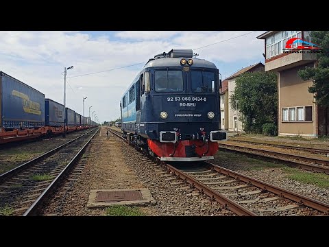 Trenuri in Episcopia Bihor / Trains in Episcopia Bihor - 17 August 2024 🚂🚅⛅