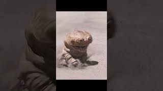 Download lagu πΎ Fastest Creature on Mars! Woola Saves John Carter with Fierce Loyalty π₯𦴠| John Carter (2012) mp3 Download lagu πΎ Fastest Creature on Mars! Woola Saves John Carter with Fierce Loyalty π₯𦴠| John Carter (2012) mp3