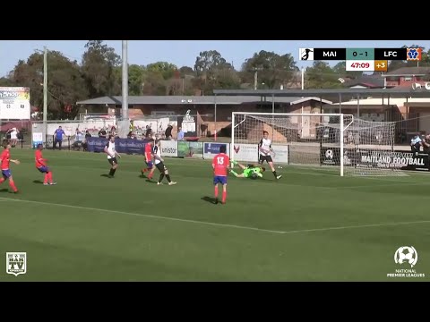 Maitland FC v Lions FC - NPL 2019 Semi Final Match Highlights