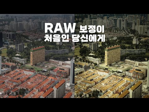 RAW 사진 보정이 처음인 사람을 위한 가장 베이직한 기본 보정 방법