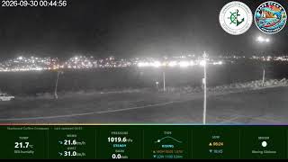 🌊 Starboard Coffee Company – Ocean view Live stream from Harbour Island, Gordon’s Bay live webcam