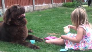 Newfie tea party