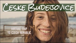 Ćeske Budejovice  -  South Bohemia25