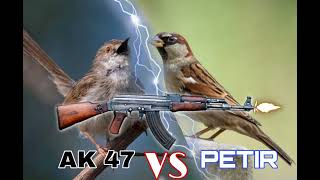 Download lagu Masteran Kombinasi Gereja Tarung VS Ciblek Gunung/Cigun Ngebren mp3