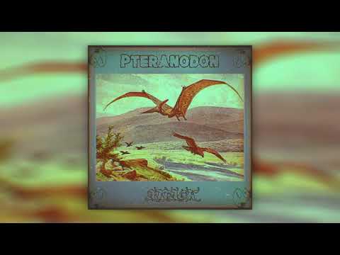 Pteranodon - Attack (Full Album) (Dino Synth / Fantasy Synth)