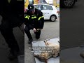 Wolf DOODGEREDEN op de A2 ?| #shorts