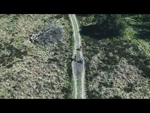 Easy day out on the gravel bike - Veluwe Netherlands