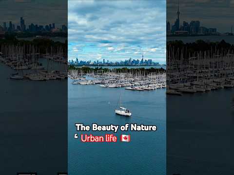 4K Drone Footage of Lake Ontario and Toronto Skyline | Nature, Marina & City Views #4kdronefootage
