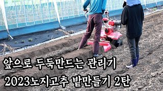 노지고추 두둑 만들기 고추고랑간격