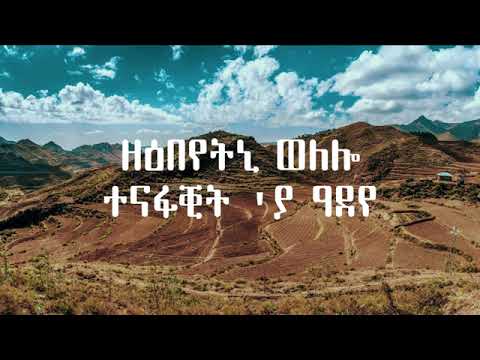 Amir Dawud  Adey Mekelle Lyrical Video አሚር ዳውድ  አደይ  መቀለ