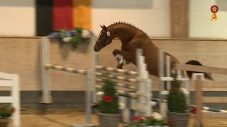Video von Sirius 266