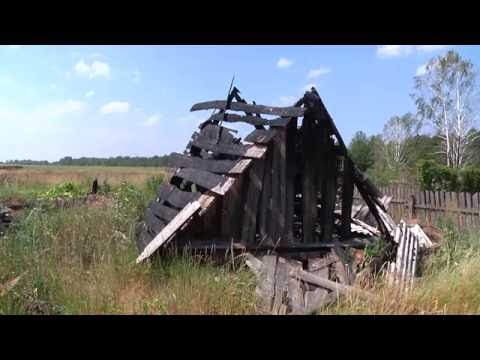 Подробности криминальной истории