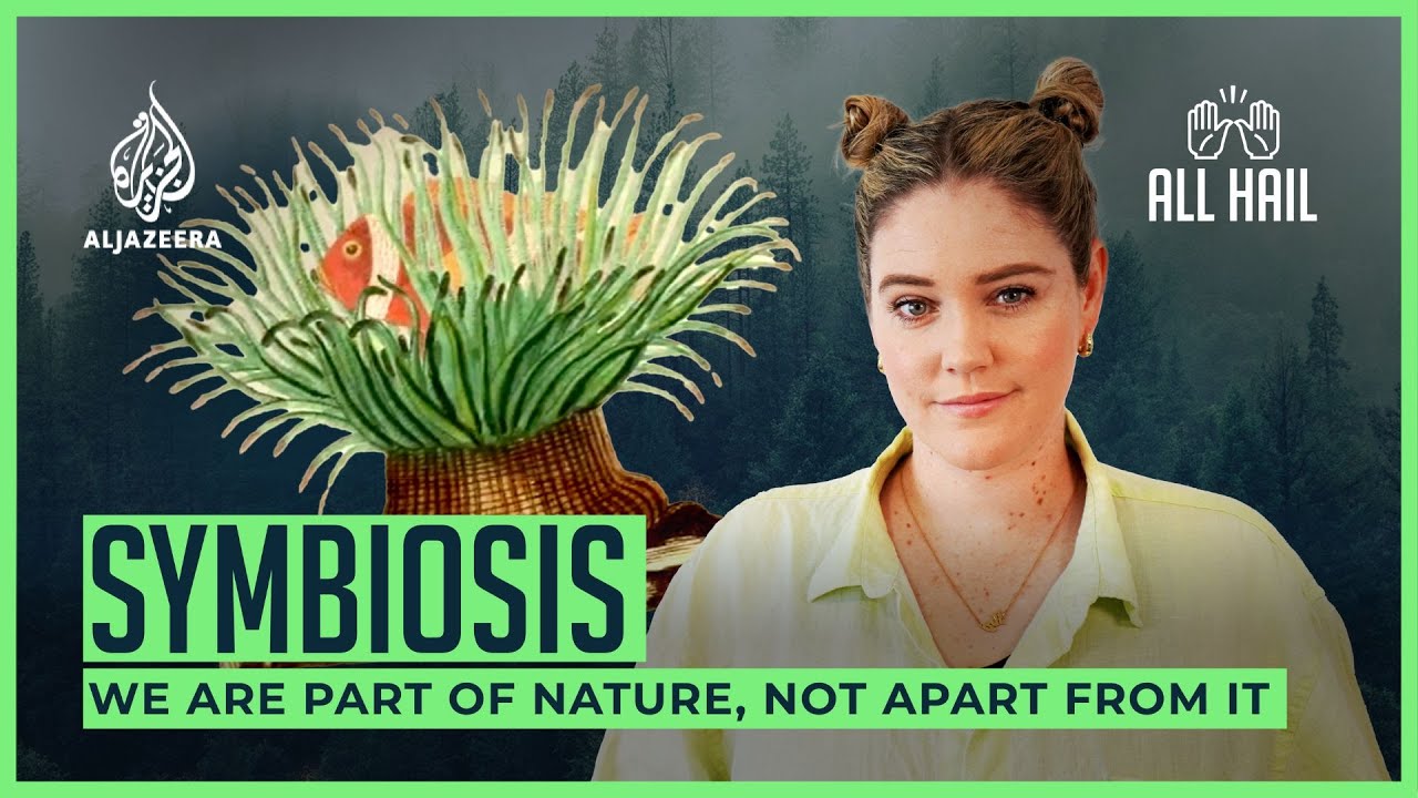 We need to rethink our relationship with nature | All Hail The Planet