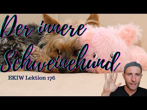 Der innere Schweinehund - Lektion 176 - Ein Kurs in Wundern mit Frank Hamm