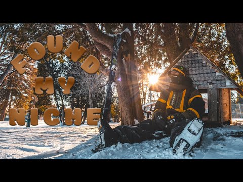 Found my Niche - A b-dog bone