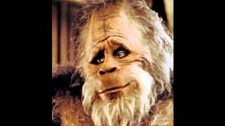 Black Crowes - Boomer's Story