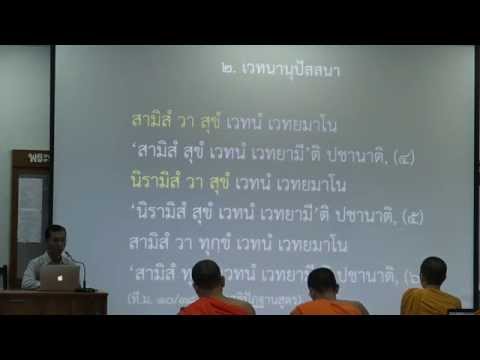 010-สติปัฏฐานภาวนา10; เวทนานุปัสสนา