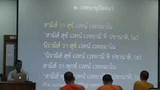 010-สติปัฏฐานภาวนา10; เวทนานุปัสสนา