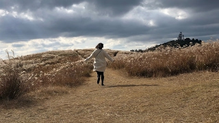 視聴者皆アンチ［フォートナイト］
