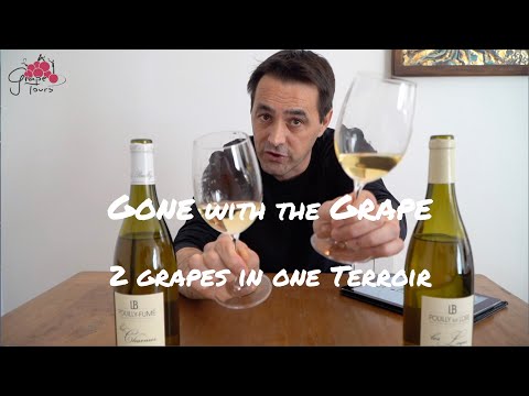 3. Gone with the Grape - in Pouilly-sur-Loire