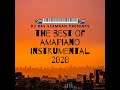 The Best Of Amapiano 2020 Instrumental 🇿🇦🎹🎶 - DJ Ras Sjamaan ❌❌❌