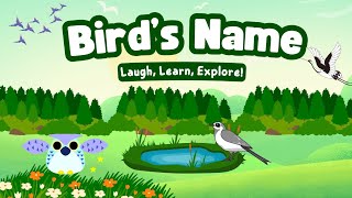 Learn Birds Name | Let's learn birds name | prelearning videos | kids learning vedios #kids  #birds