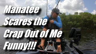 Manatee Scares the Crap Out of Me...Funny!!!