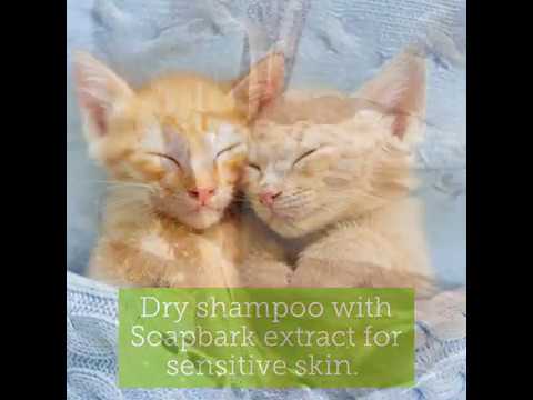 Dry Shampoo for cats with sensitive skin