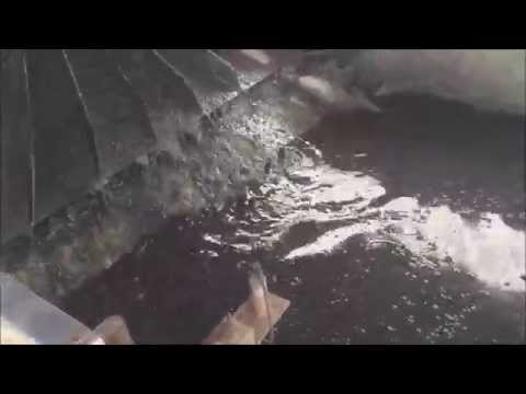 Oily Waste Sludge Dewatering