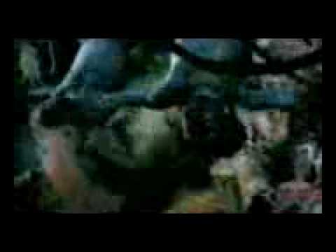 Pink vs Disturbed vs Missy Elliot vs Kanye West Down with all the sober freaks