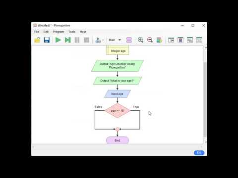 Age Checker Using Flowgorithm
