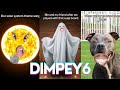 2 HOUR Funny Shorts Dimpey6 Best Of ItsDimpey 2024 Shorts Comps