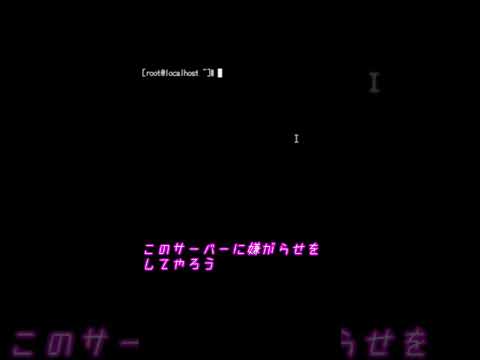 SNVは「国家ハッキングの最低基準」を要求