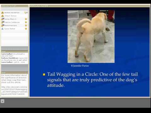 UnderstandingCanine Behavior-Distance Decreasing Signals by Barbara Handelman.flv