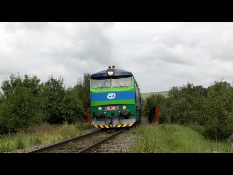 Bardotka Sound im Osten Tschechiens: 749 335 mit Fotogüterzug